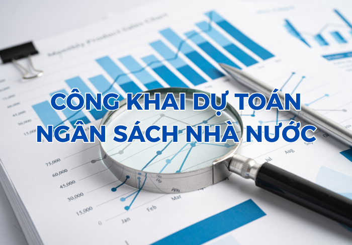 /TinTucHinhAnh/DUTOAN%20NSNN.png